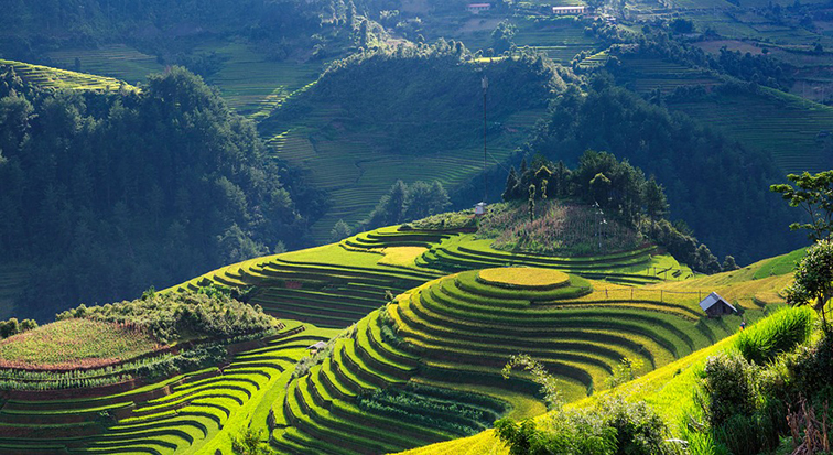 Rice terraces in Mù Cang Chải district, Vietnam. Photo: ThuyHaBich via Pixabay.