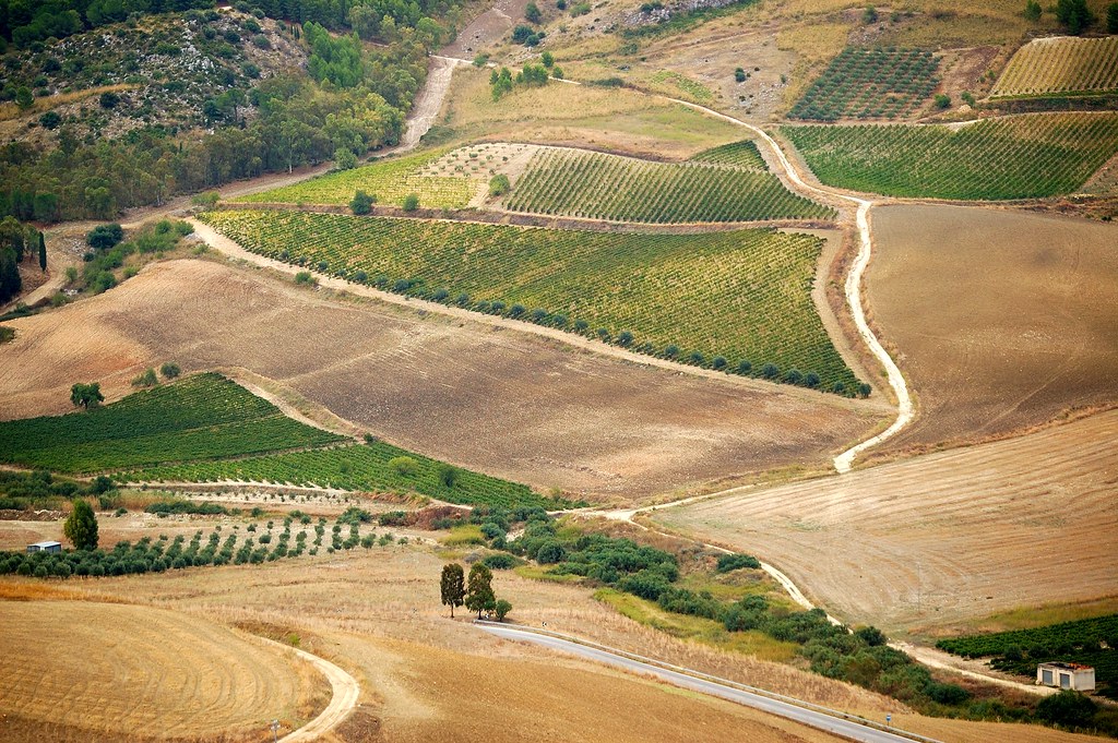 Fields in Sambuca di Sicilia; photo by Rino Porrovecchio released via Flickr.